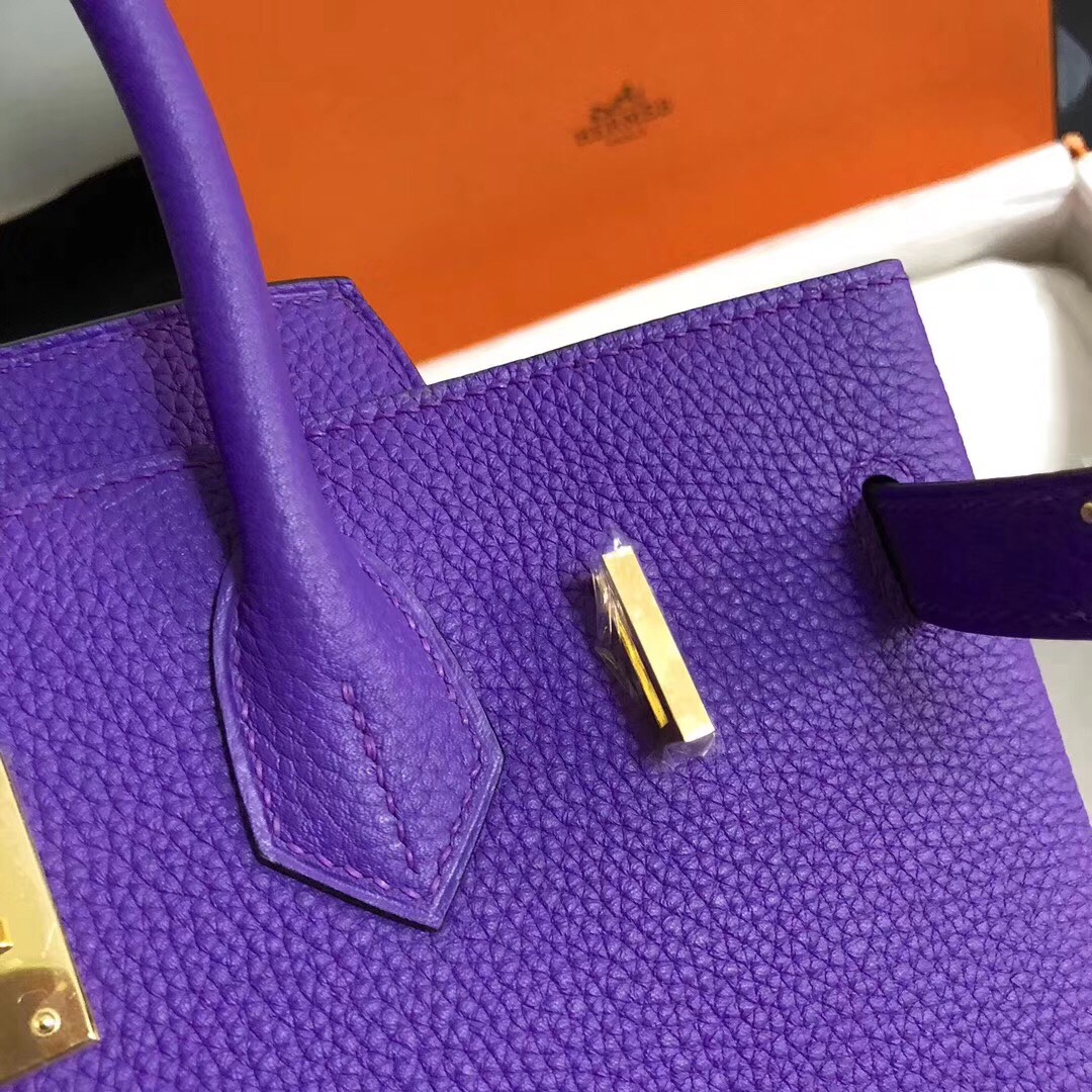 Hermes Birkin 30CM Togo Leather Handbag Purple Anemone